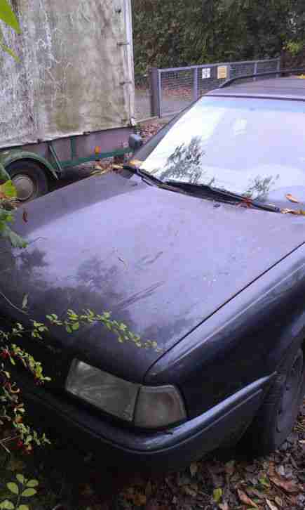 Audi 80 Avant