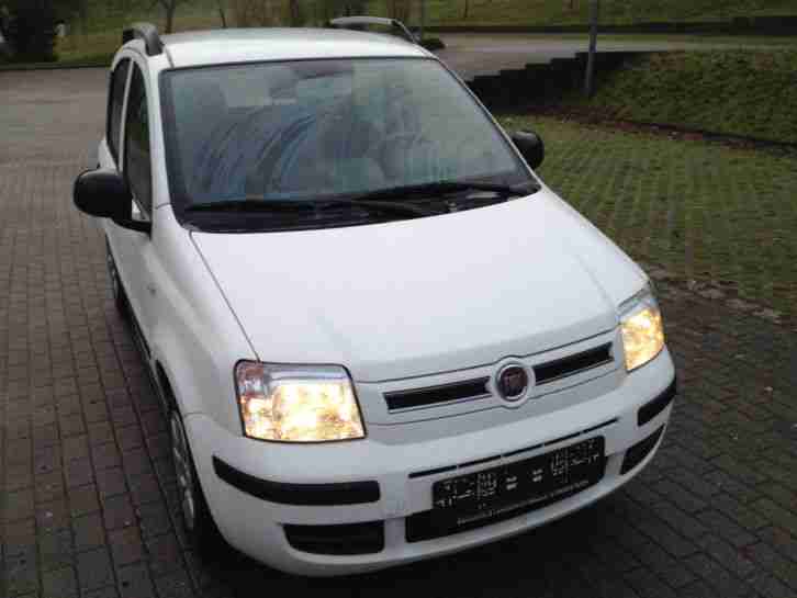 Fiat Panda 1, 2 8V Dynamic in weiß