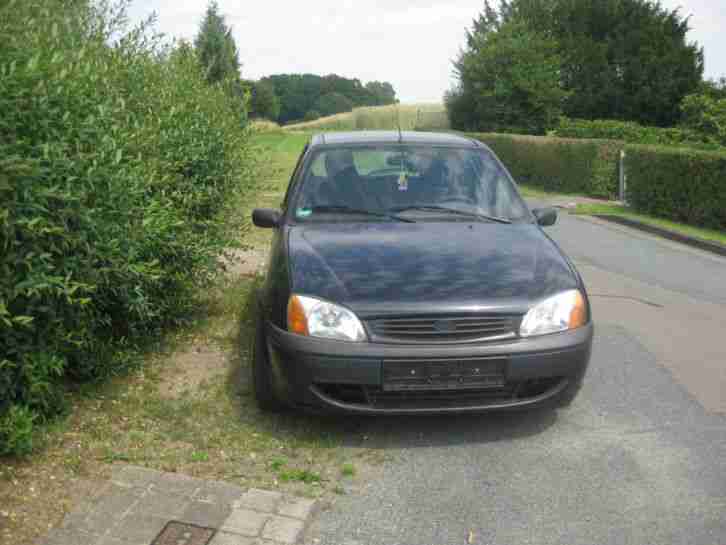 Treuer Ford Fiesta