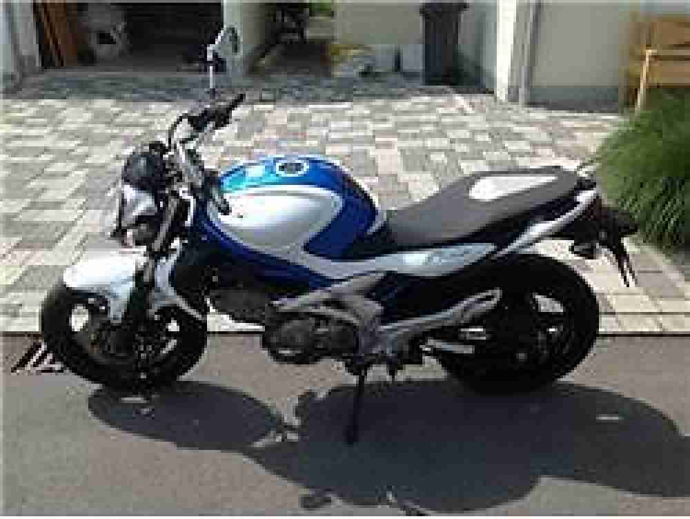 Suzuki Gladius 650